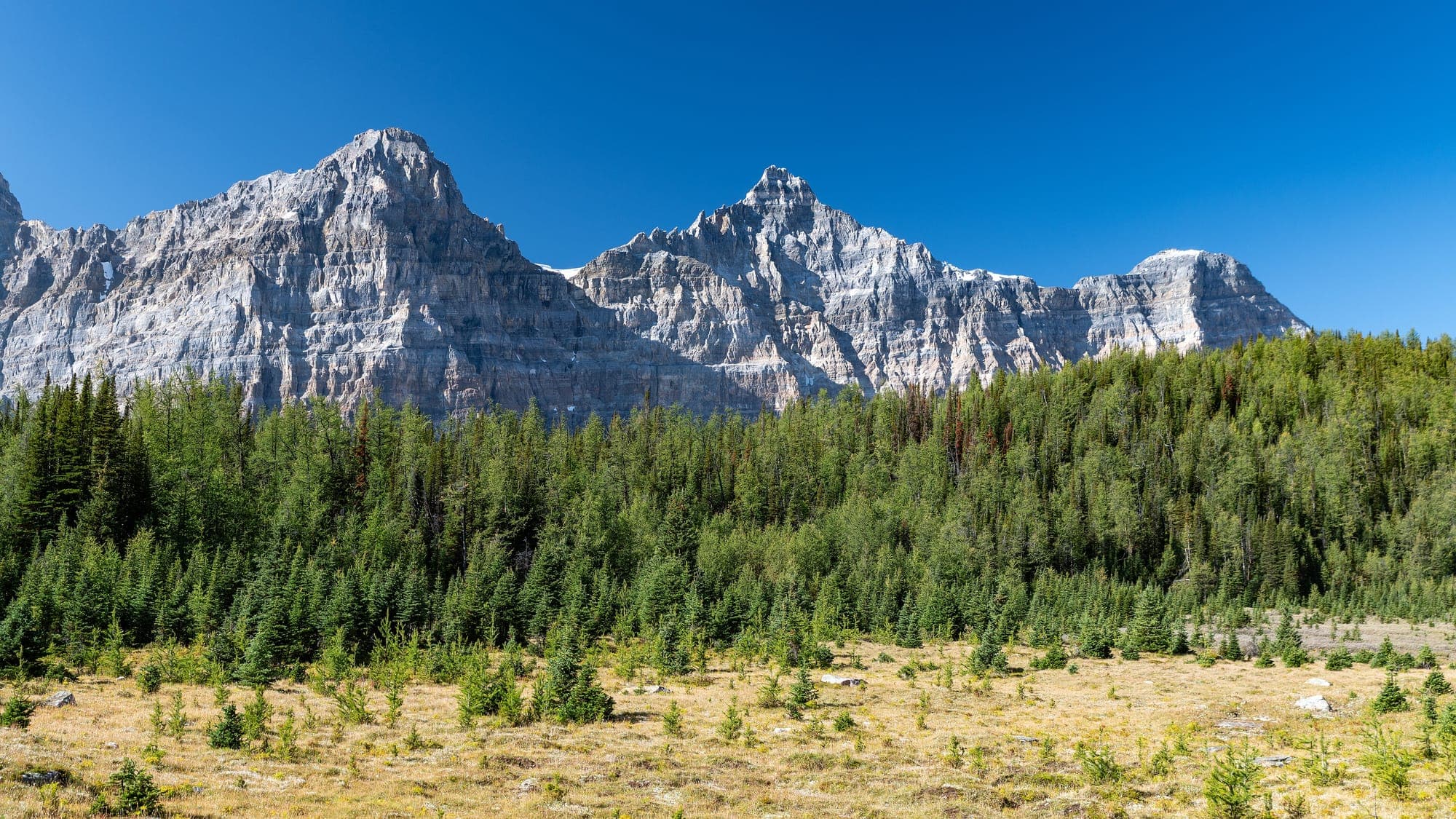 Larch Valley below Mount Temple, before the larches turn